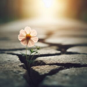 Episodio 361 - Lo vil del mundo para deshacer