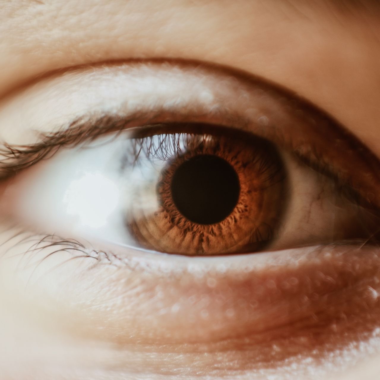Un pacto con mis ojos - Job 31:1